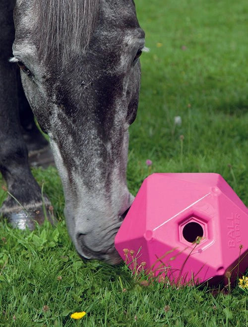 Shires Ball Feeder Horse Equine Stable Toy Treat Ball 9" - Hooves and Paws