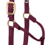Weaver Equine Horse Halter: Comfort, Durability & Perfect Fit for Your Horse