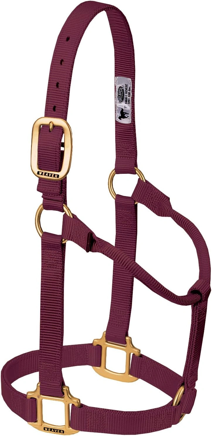 Weaver Equine Horse Halter: Comfort, Durability & Perfect Fit for Your Horse