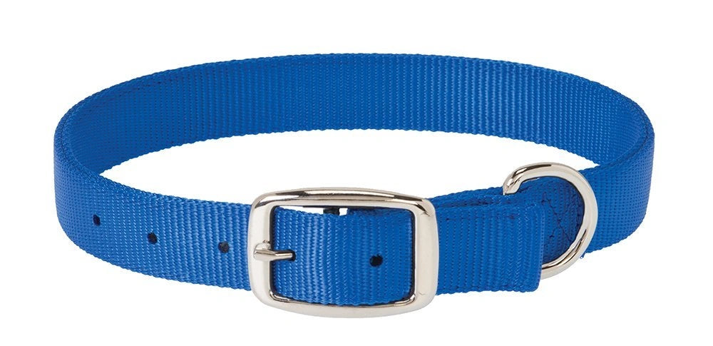 Weaver Leather Prism Classic Dog Collar - Hooves and Paws