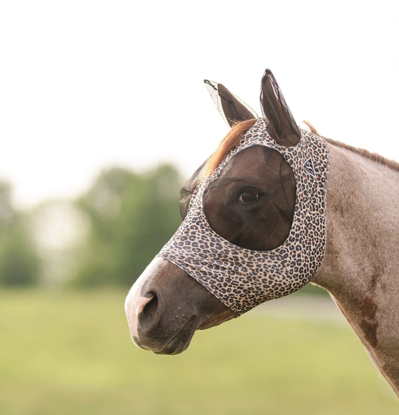 Professional's Choice Comfort Fit Horse Lycra Fly Mask with Ears All Sizes - Hooves and Paws