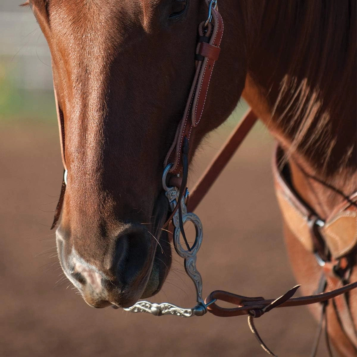 Classic Equine Les Vogt Cowhorse Bit - 1 3/4" Slope Port Mouthpiece, 8" Shank