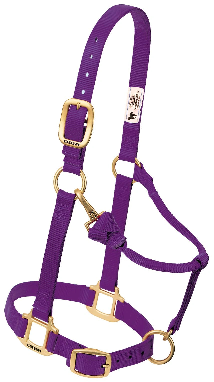 Weaver Leather Horse Halter: Adjustable Nylon for Comfort & Durability