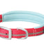 Weaver Leather Reflective Neoprene Lined Dog Collar (Sell out) - Hooves and Paws