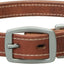 Weaver Leather Canyone Rose Harness Leather Hybrid Dog Collar (Sell out) - Hooves and Paws