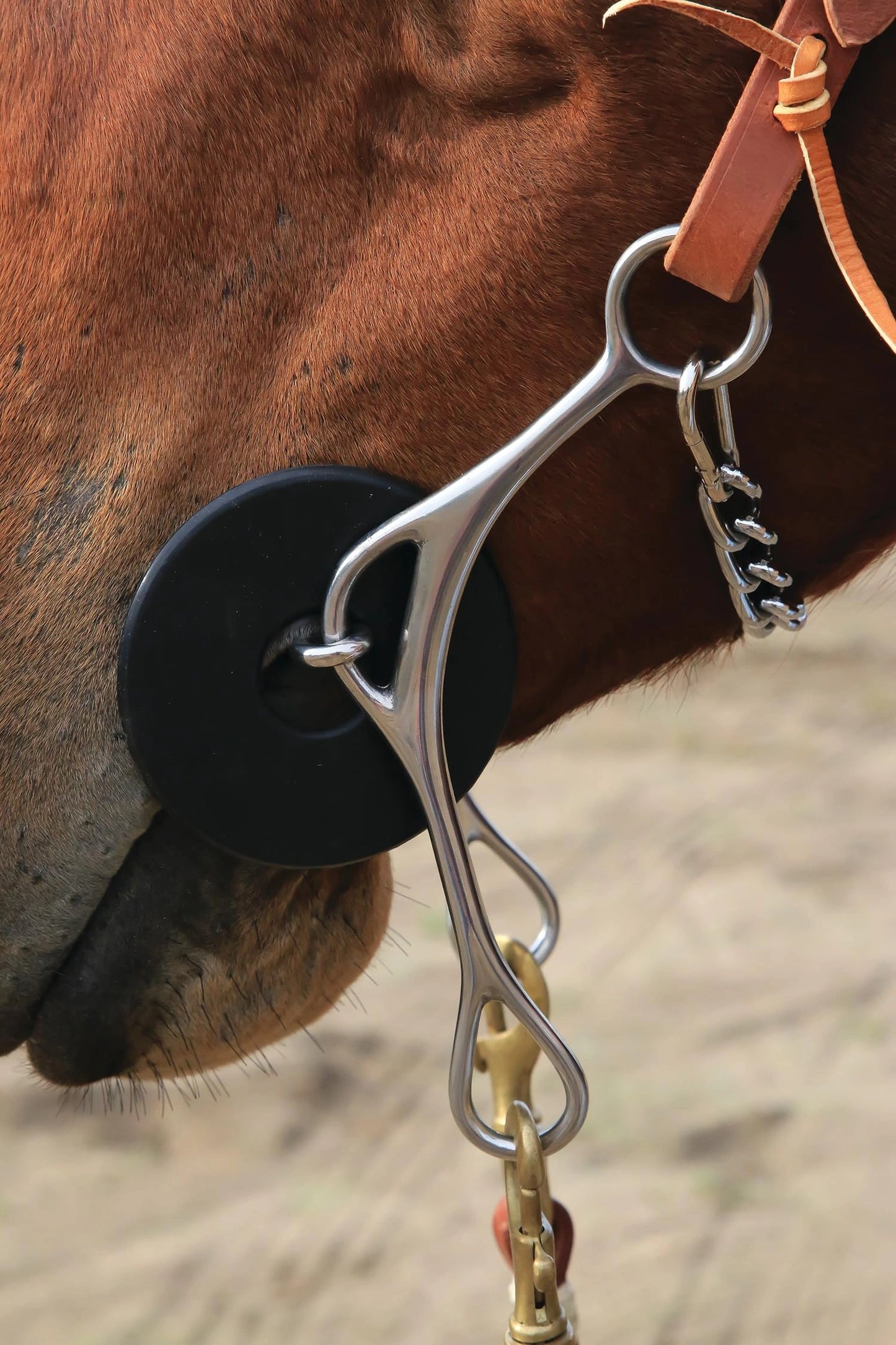 Professional's Choice Brittany Pozzi Gag Series Bit - 8 Inch Long Cheek - Multiple Mouthpieces