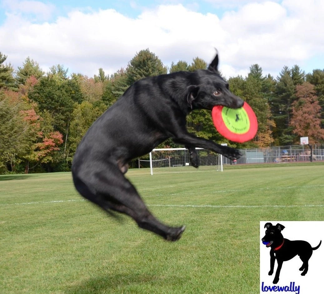 LoveWally The Original Soft Bite Floppy Disc Flyer Outdoor Adventure Gear Dog Toy - Hooves and Paws
