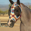 Professional's Choice Comfort Fit Horse Lycra Fly Mask with Ears All Sizes - Hooves and Paws
