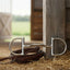 Myler Stainless Steel English Dee Bit MB 36 and braided leather reins on a hay-covered barn floor.