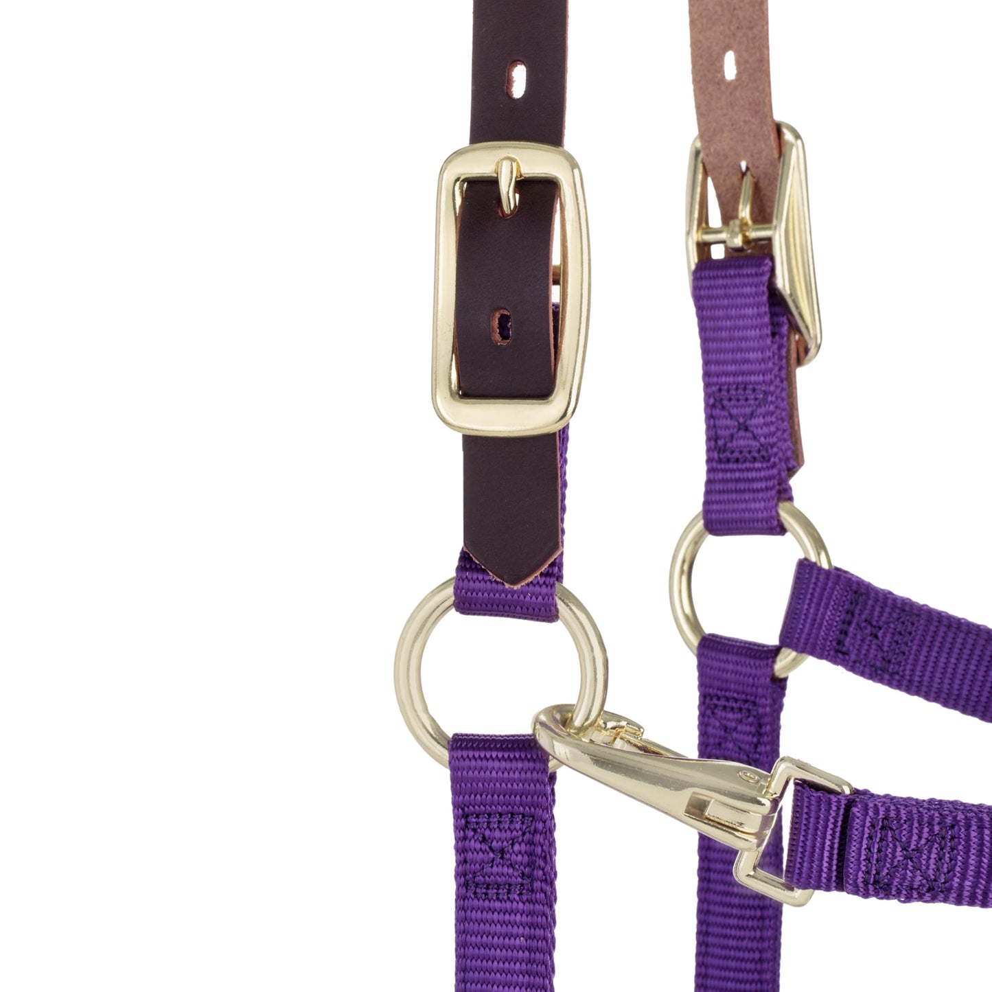 Weaver Leather Breakaway Nylon Halter – Replaceable Crown