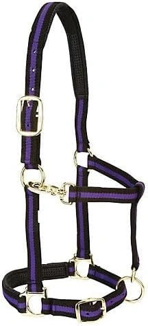 Weaver Leather Padded Adjustable Halter Average Purple