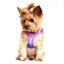 Doggie Design American River Dog Harness Ombre Collection - Hooves and Paws
