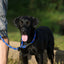 Terrain D.O.G. Rope Slip Lead - Hooves and Paws