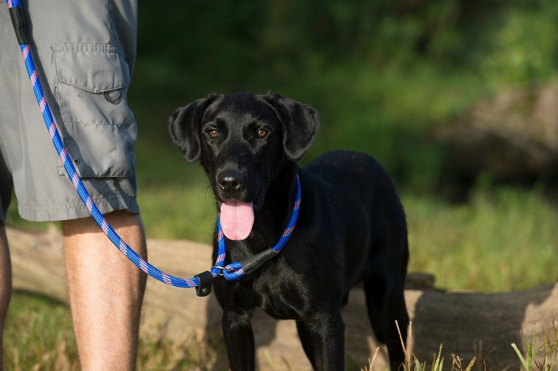 Terrain D.O.G. Rope Slip Lead - Hooves and Paws