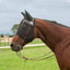 Horse wearing a fly mask in a grassy field