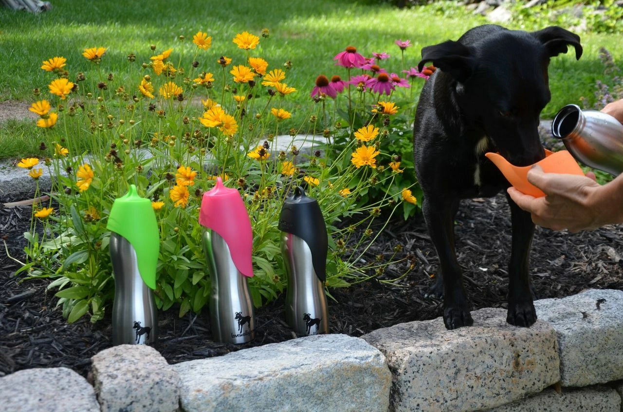 LoveWally Outdoor Adventure Gear 25oz Dog Water Bottle Travel Bowl - Hooves and Paws