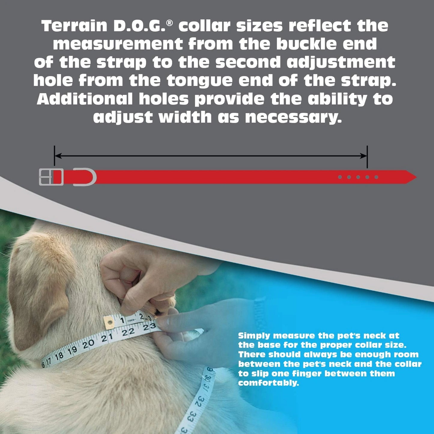 Weaver Leather Terrain D.O.G. Brahma Webb Dog Collar - Weather Resistant & Quick Drying