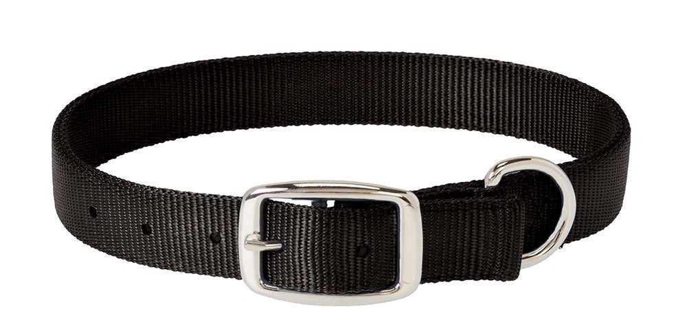 Weaver Leather Prism Classic Dog Collar - Hooves and Paws