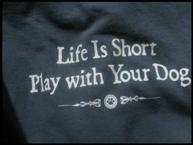 Adult Blue Tshirt - Life Is Short - Hooves and Paws