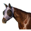 Weaver Leather Equine Coolcore Fly Mask for Horses 37405 - Hooves and Paws