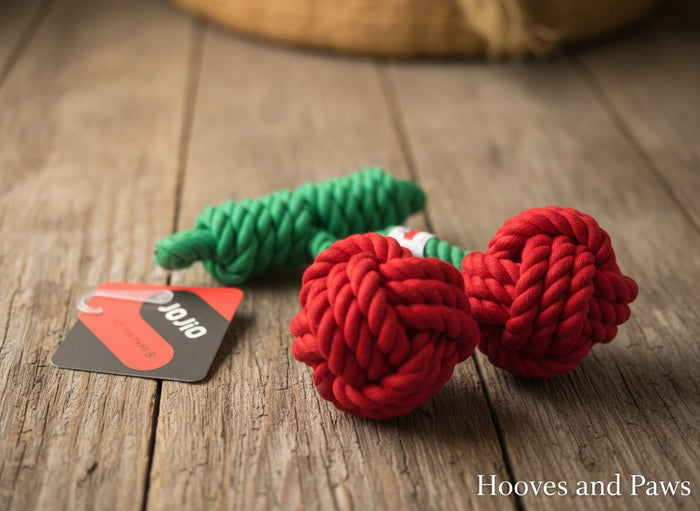 Jojio Knot Tug and Play Cherry Dog Toy - Cherry Scented Interactive Dental Chew - Small