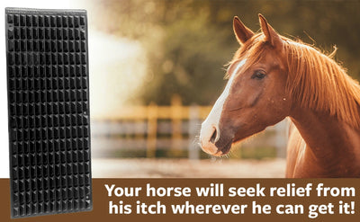 Shires Equine Horse Scratcher - Hooves and Paws