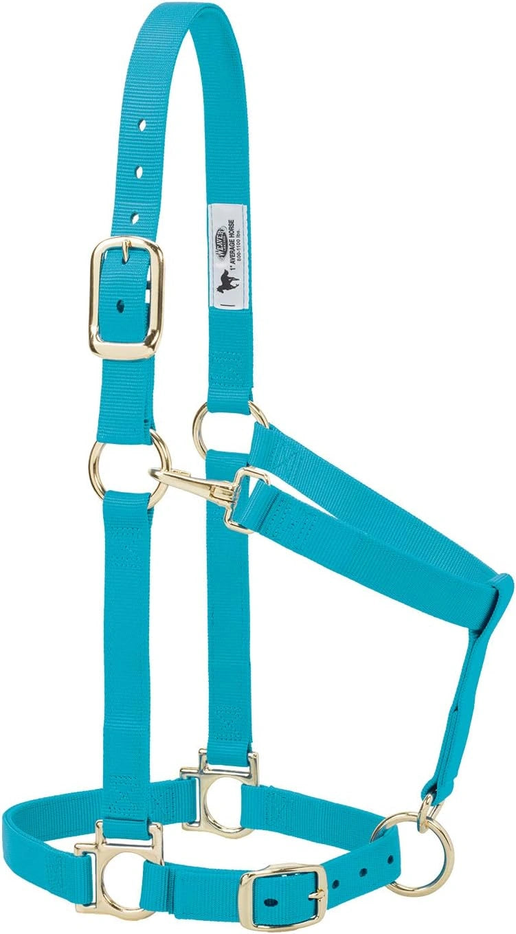 Weaver Leather Nylon Horse Halter, Padded and Adjustable, Chin and Throat Snap Hook Halter Average Turquoise