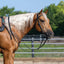 Weaver Leather Black Latigo Headstall - Doubled & Stitched with Water Tie Ends, Made in USA