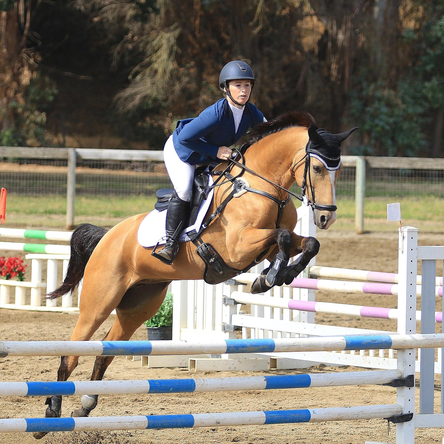 Professional's Choice Jump Pad with VenTECH Lining - Contoured Breathable Moisture-Wicking Saddle Pad