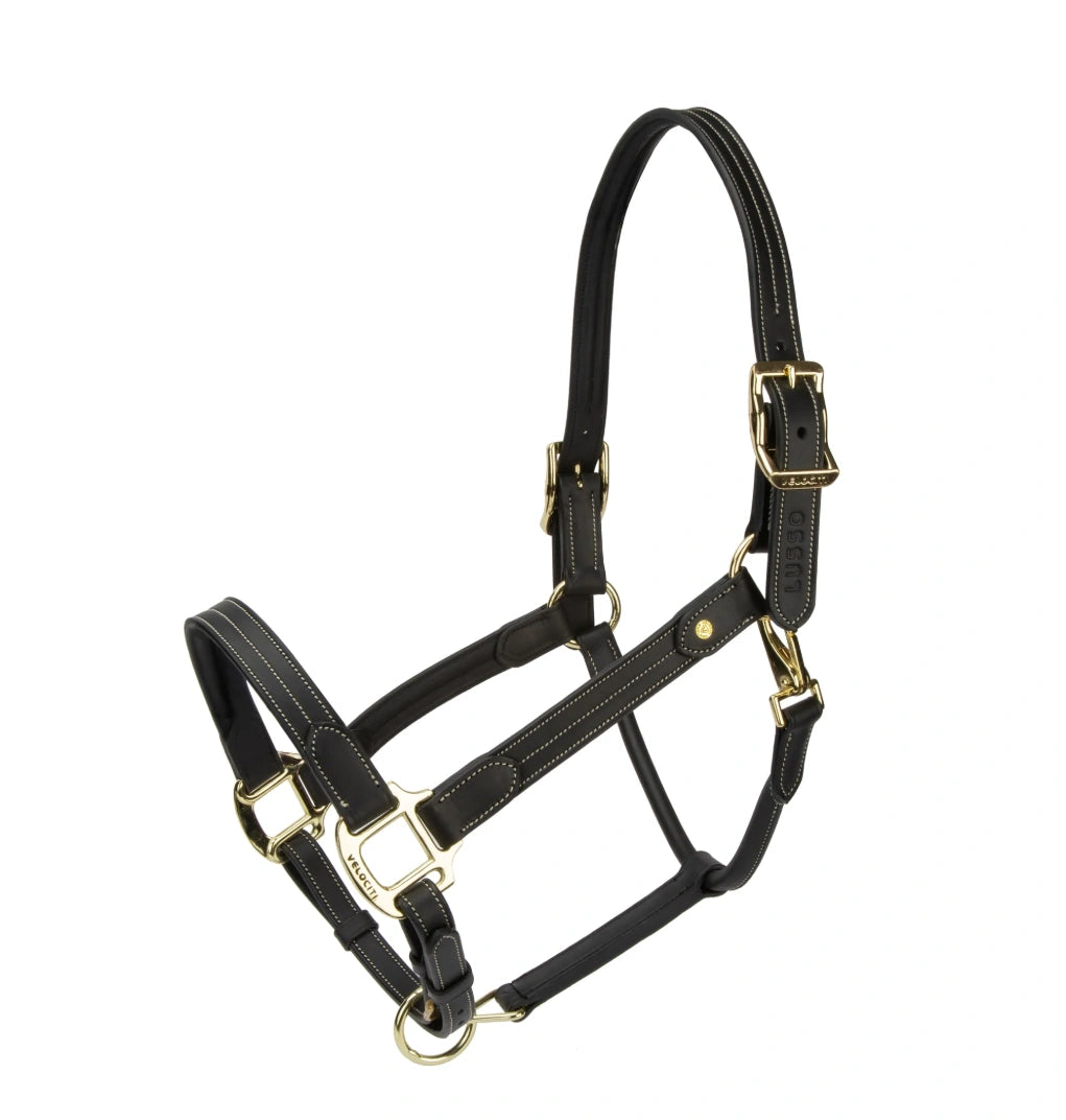 Velociti Lusso Girona Leather Headcollar
