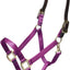ARMA Shires Nylon Halter with Breakaway Leather Head Strap 90027 - Hooves and Paws