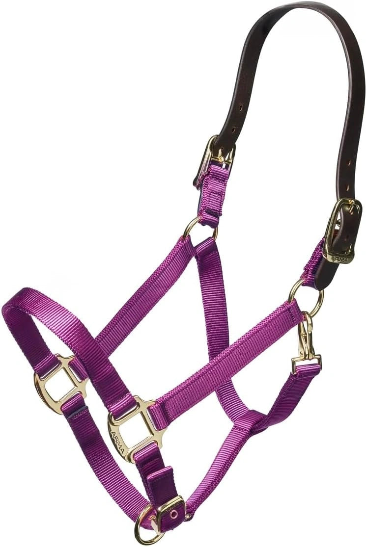 ARMA Shires Nylon Halter with Breakaway Leather Head Strap 90027 - Hooves and Paws