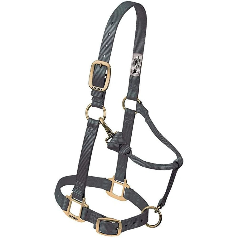 Weaver Leather Horse Halter: Adjustable Nylon for Comfort & Durability