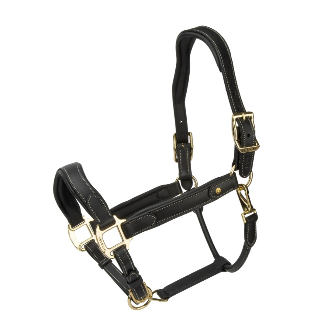 Velociti Lusso Lorca Leather Headcollar