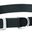 Weaver Leather Nylon Single - Ply Dog Collar - Hooves and Paws