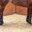 Classic Equine Quick Wraps - Neoprene Liniment & Poultice Application Bandages with Washable Terry Lining, Set of 2