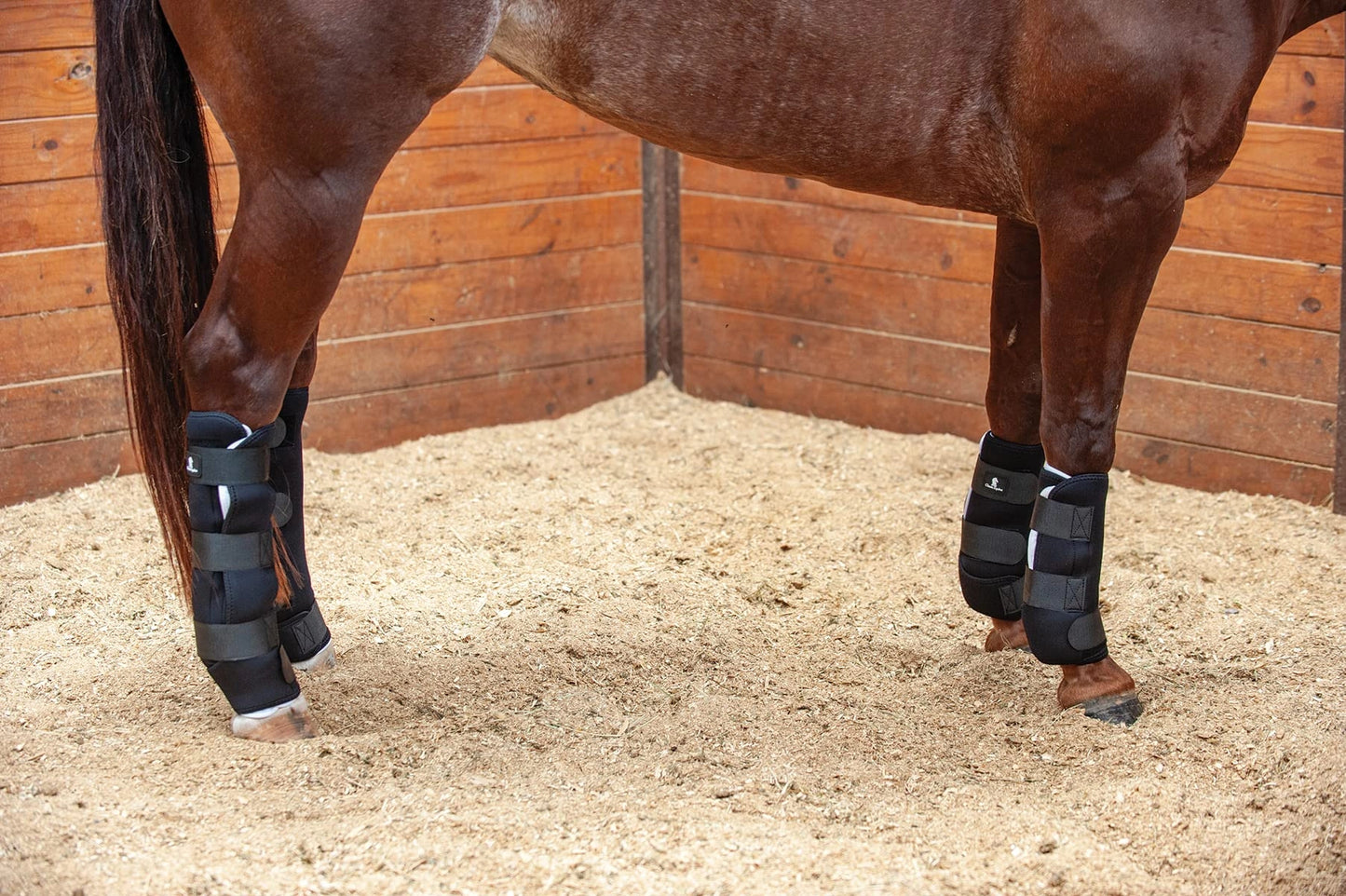 Classic Equine Quick Wraps - Neoprene Liniment & Poultice Application Bandages with Washable Terry Lining, Set of 2