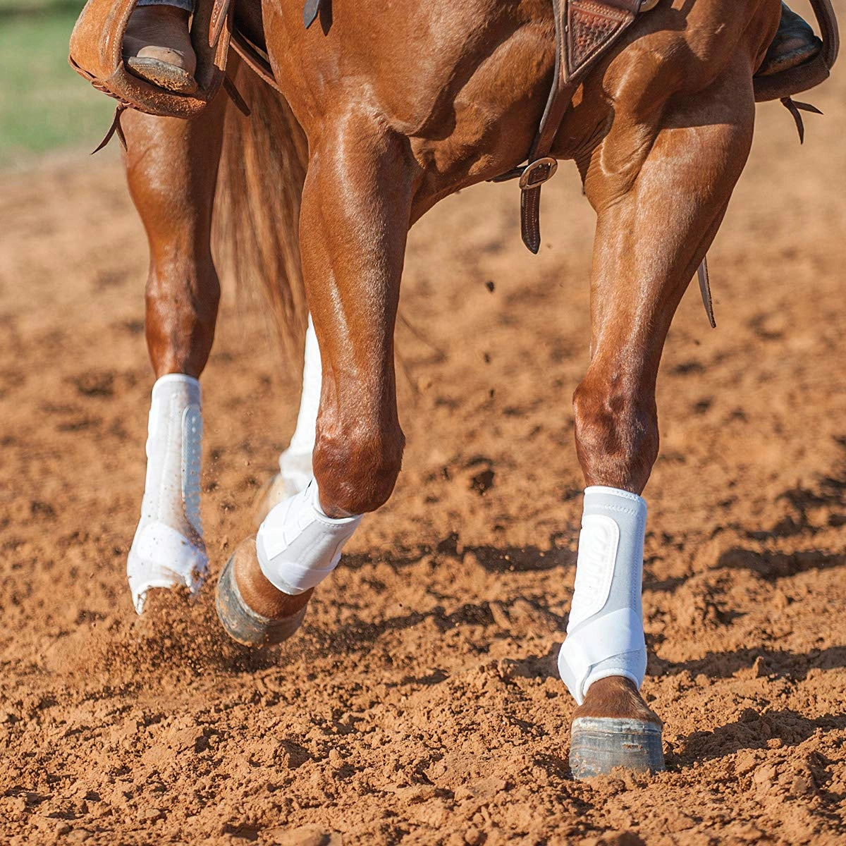 Classic Equine ClassicFit Horse Sling Boots - Hooves and Paws