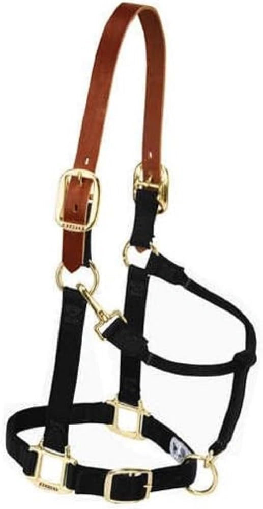 Weaver Equine Horse Halter: Comfort, Durability & Perfect Fit for Your Horse