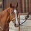 Cashel Rawhide Noseband Rope Halter with 9' Lead – Average/Large