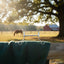 Myler MB 32 Tom Thumb Snaffle horse bit, sweet iron with copper inlay, hanging on a dark green blanket over a wooden fence, with a grazing horse, large tree, and red barn in a sun-drenched farm field background.