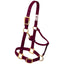 Weaver Leather Horse Halter: Adjustable Nylon for Comfort & Durability