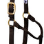 Weaver Equine Horse Halter: Comfort, Durability & Perfect Fit for Your Horse