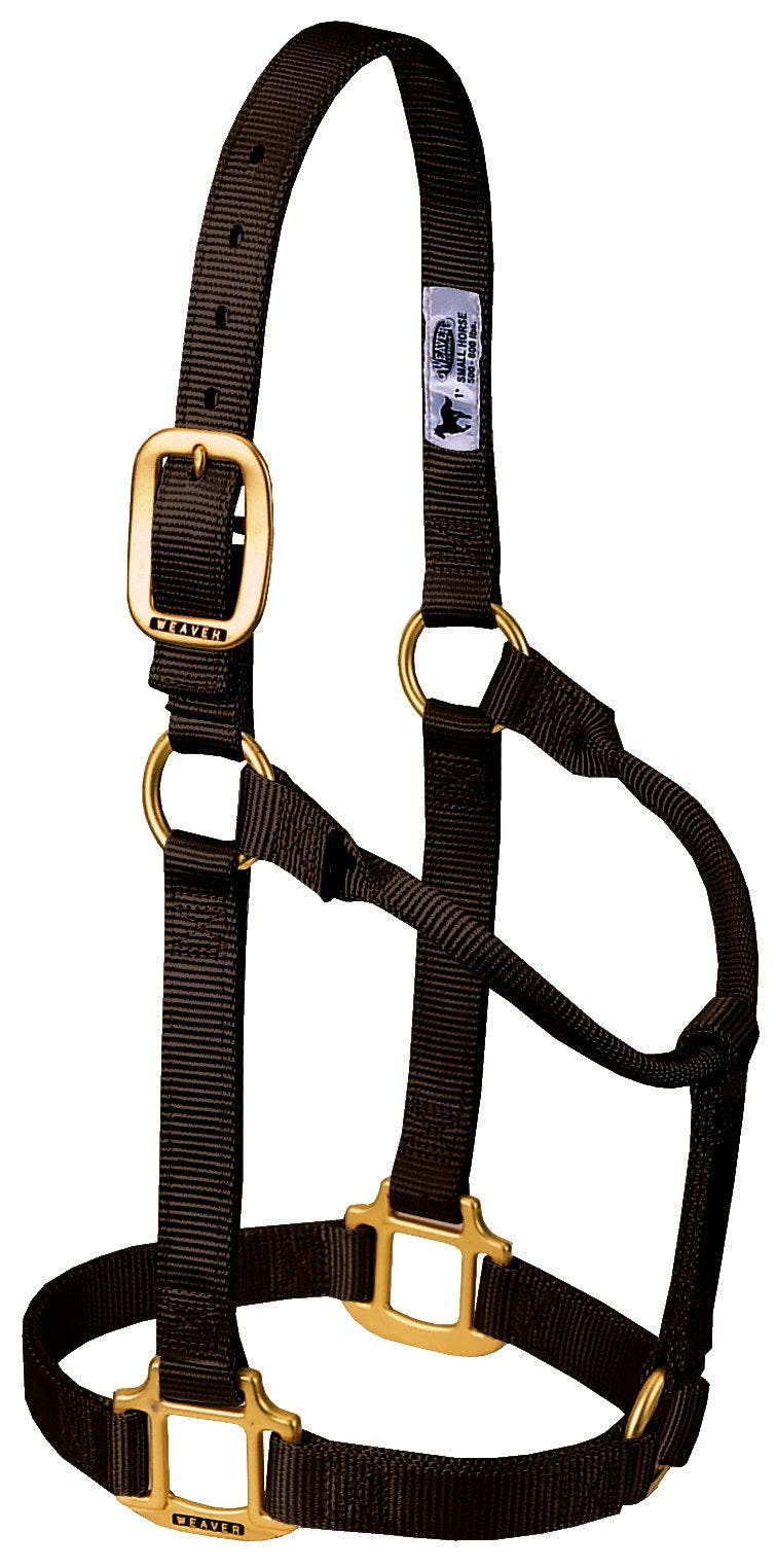 Weaver Equine Horse Halter: Comfort, Durability & Perfect Fit for Your Horse