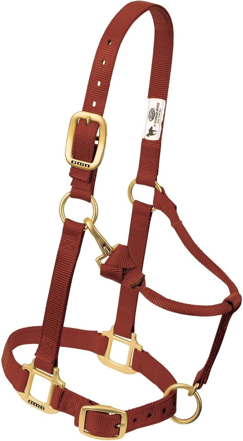 Weaver Leather Horse Halter: Adjustable Nylon for Comfort & Durability