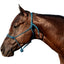 Classic Equine Rope Halter with 9ft Lead - Hardware-Free Nylon