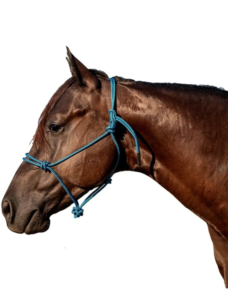 Classic Equine Rope Halter with 9ft Lead - Hardware-Free Nylon