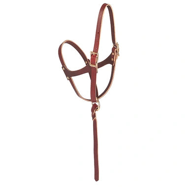 Weaver Leather Halter, Figure 8 Foal - Hooves and Paws