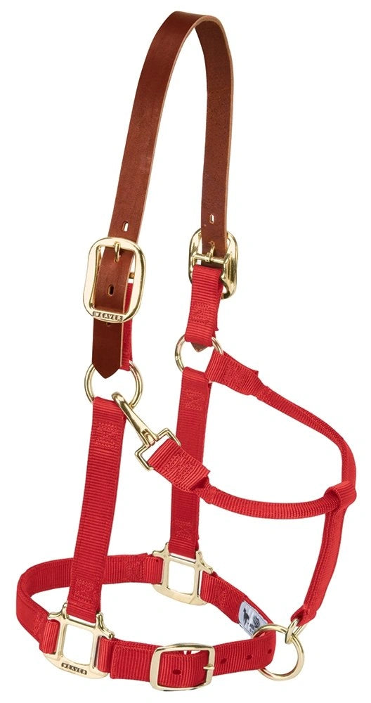 Weaver Leather Breakaway Nylon Halter – Replaceable Crown