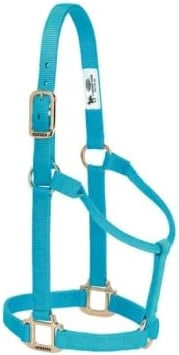 Weaver Leather Original Non-Adjustable 1" Horse Halter - Turquoise (Sell out)